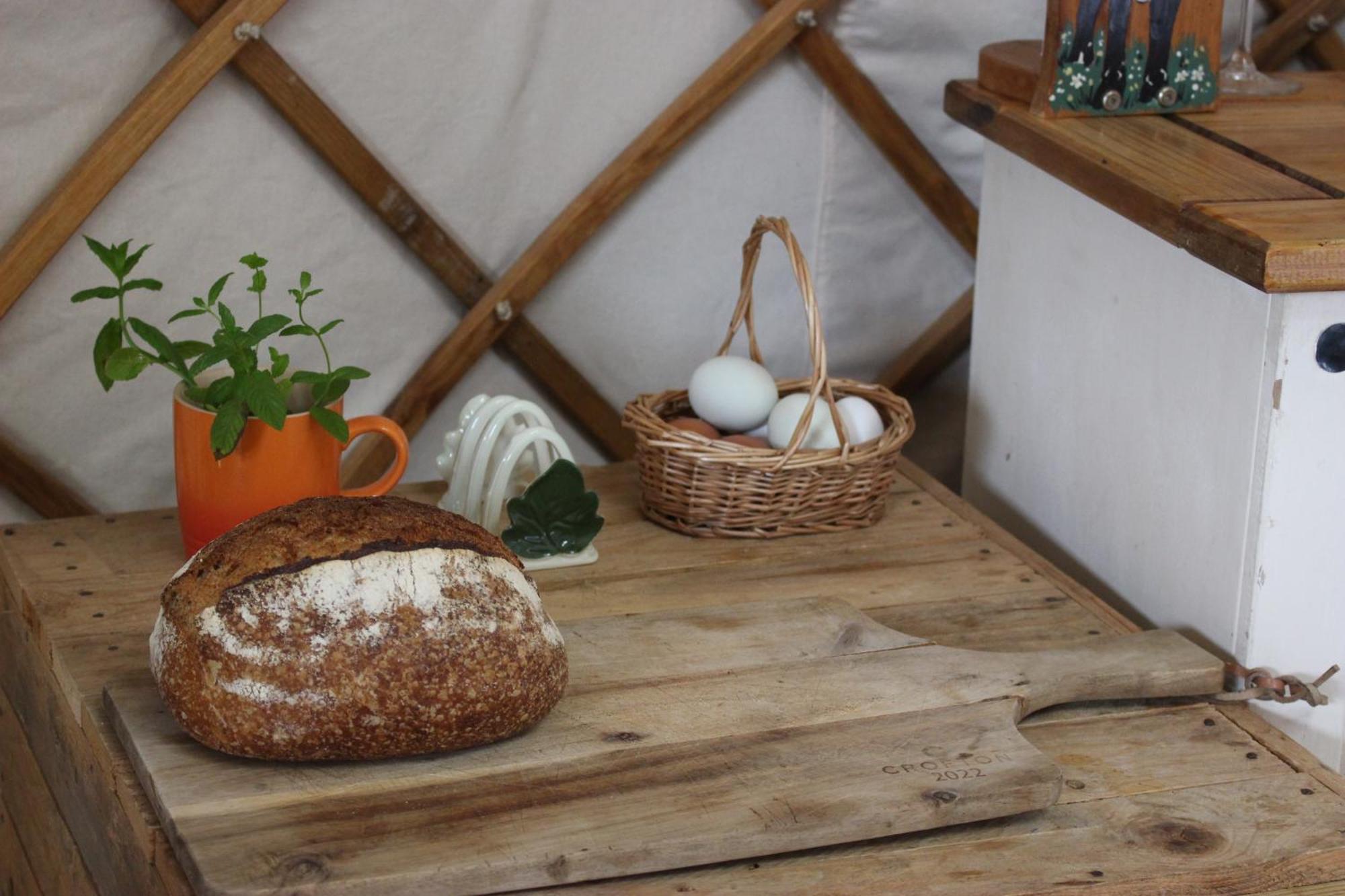 The Yurt At Worcesters Farm Canterbury Ngoại thất bức ảnh